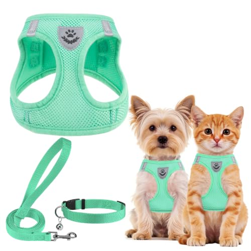 Adjustable Dog Harness Collar and Leash Set Step in No Pull Pet Harness for Small Medium Dogs Puppy and Cats Outdoor Walking Running (Solid Green / XS (CHEST 13"-14.5"))