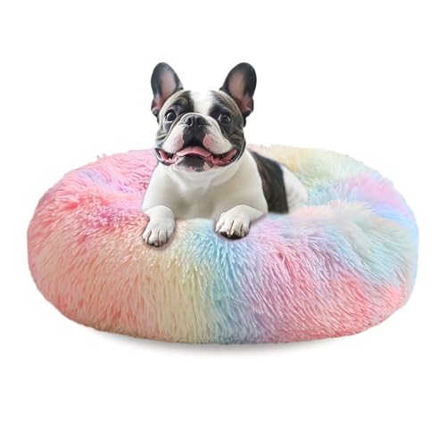 Calming Dog Bed Medium Size Dog (Rainbow / 27.0"L x 27.0"W x 8.0"Th)