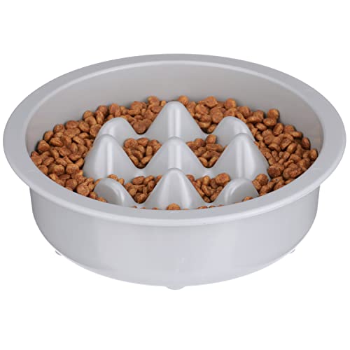 The Niner Slow Feed Bowl (Silver / 2 Cup)