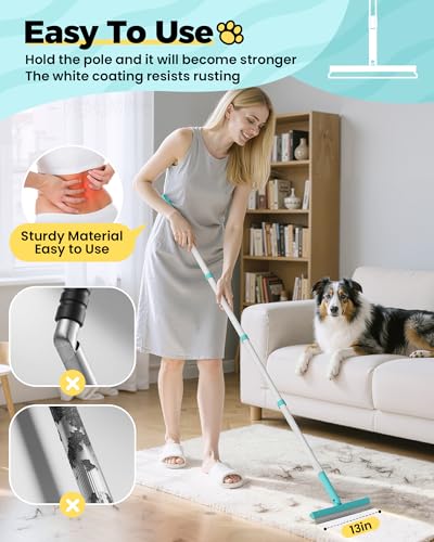 Carpet Rake for Pet Hair Removal Tool (Blue)