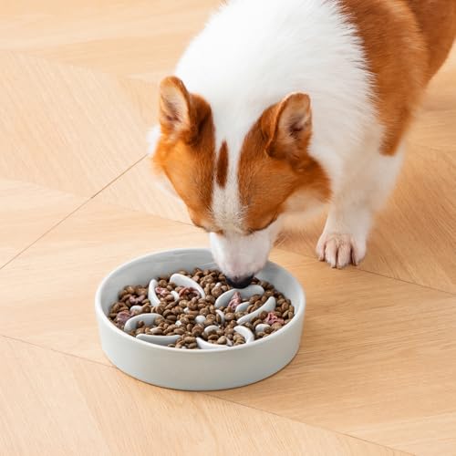 Ceramic Slow Feeder Dog Bowls (M-1.5 Cups / Grayish Cyan)
