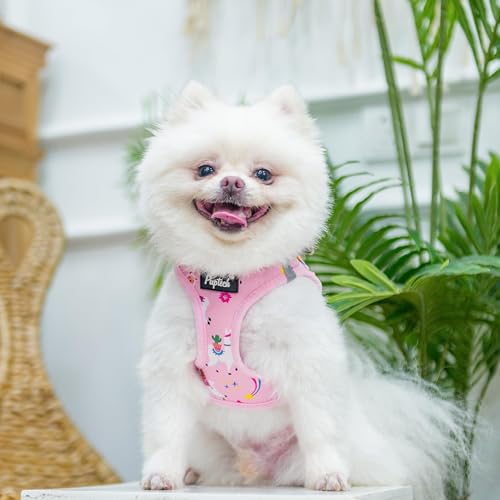 Dog Harness Collar and Leash Set No Pull for Small Medium Sized (Light Pink(Alpaca) / XS (CHEST 13"-14.5"))