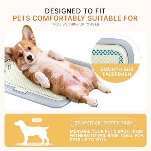 Dog Potty Tray (Green)