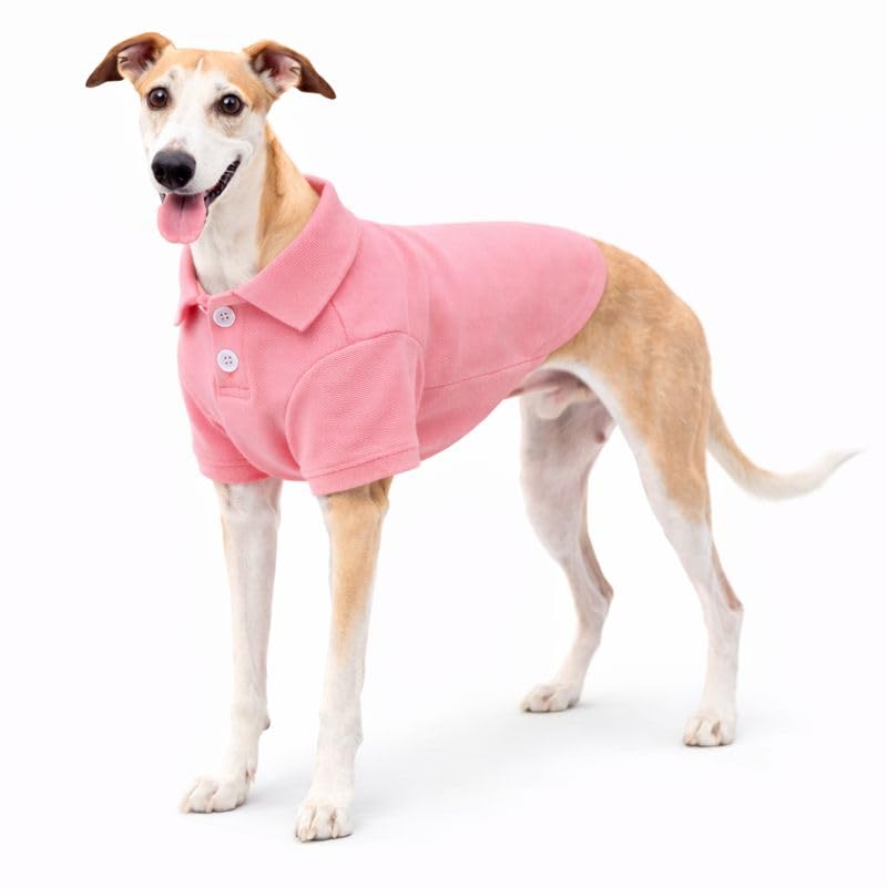 Basic Dog Polo Shirts Premium Cotton (XXXL (-75lbs) / Pink)