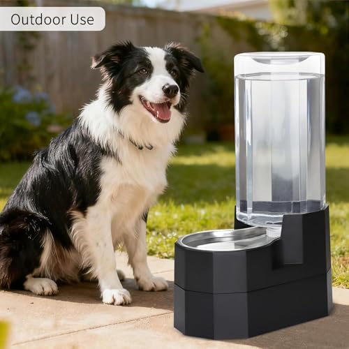9L Elevated Dog Water Dispenser (Black / 9L Raised)