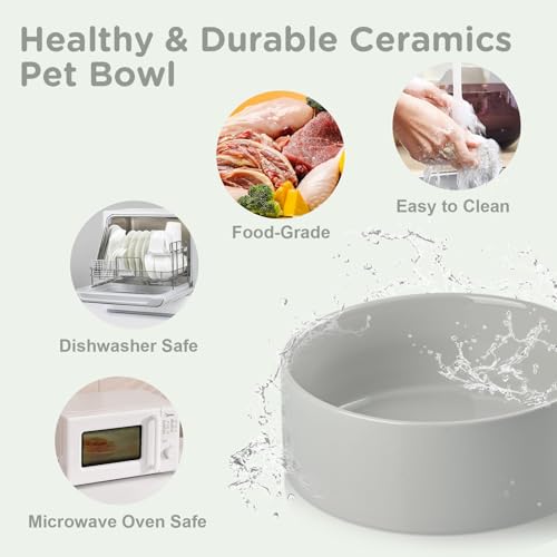 Elevated Dog Bowls Ceramic (6.1 in - 3.6 cups / Grey)