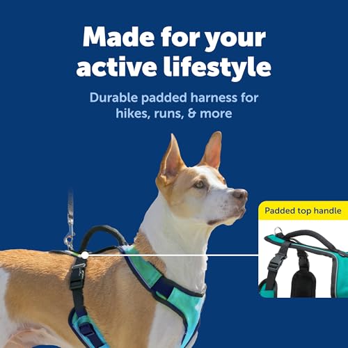 EasySport Dog Harness (Medium / Teal)