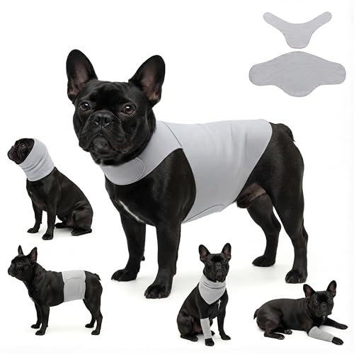 Dog & Cat Surgery Recovery Suit and Anxiety Wrap (M / Gray)