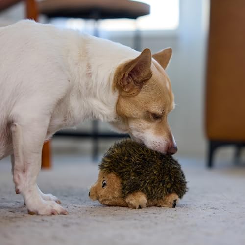 Hedgehogz Plush Dog Toy (Dog Plush Hedgehogz / Small (Pack of 1))