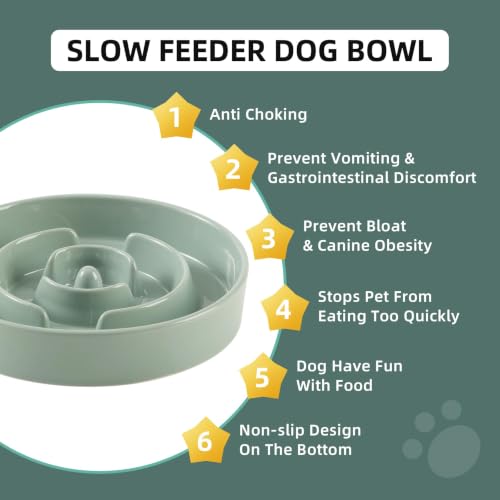 Ceramic Slow Feeder Dog Bowls (Light Green)