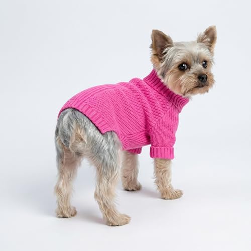 Valentines Dog Turtleneck Sweater (Small / Rose Red)
