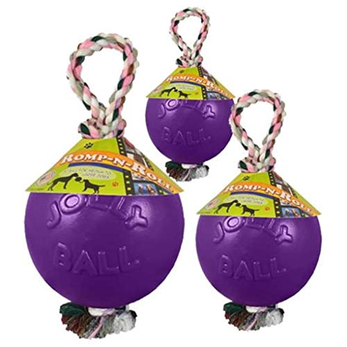 Romp-N-Roll Rope & Ball Dog Toy, 6 in Medium, Purple (Purple / Medium (6 in))