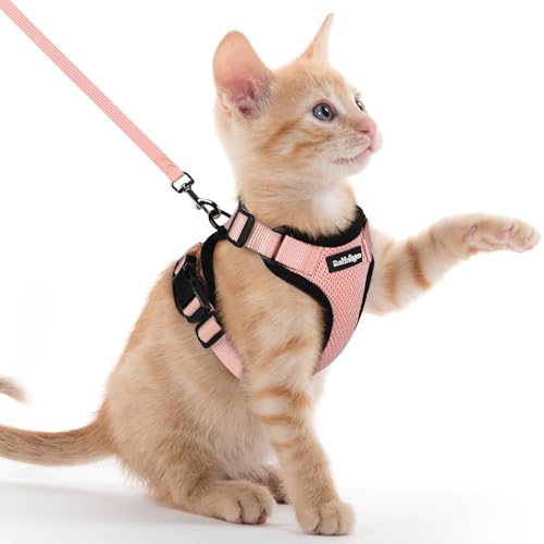 Cat Harness and Leash Set (Xxs / Light Salmon Pink)