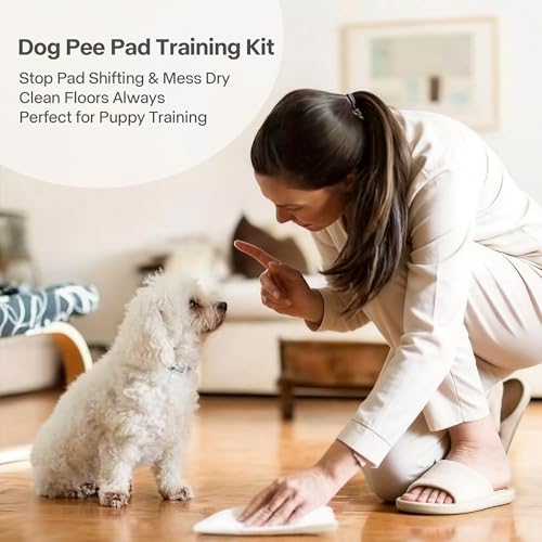 Dog Pee Pad Holder for Puppy (Medium)