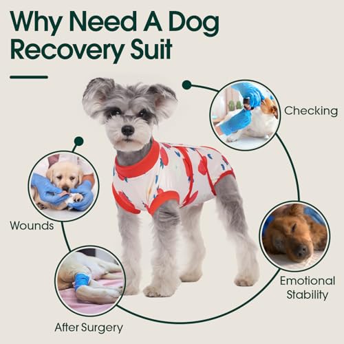 Dog Recovery Suit (Strawberry Red / X-Small)