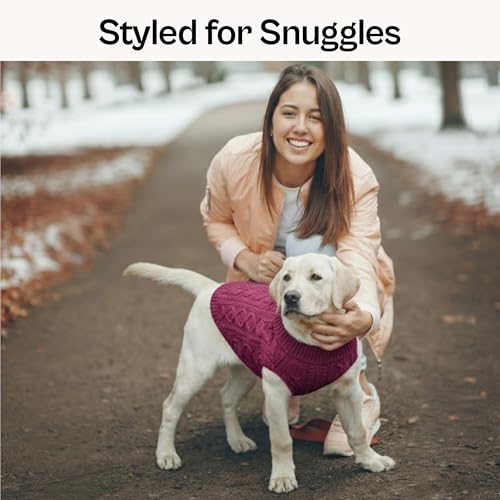Cable Knit' Warm & Stylish Pet Sweater in Raspberry for Dogs & Cats (2XL / Cable Knit Raspberry)