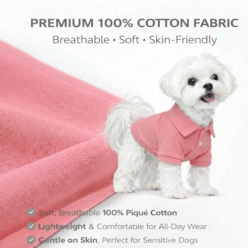 Basic Dog Polo Shirts Premium Cotton (XXL (-55lbs) / Pink)