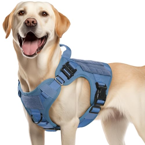 Tactical Dog Harness for Medium (Blue / Medium)