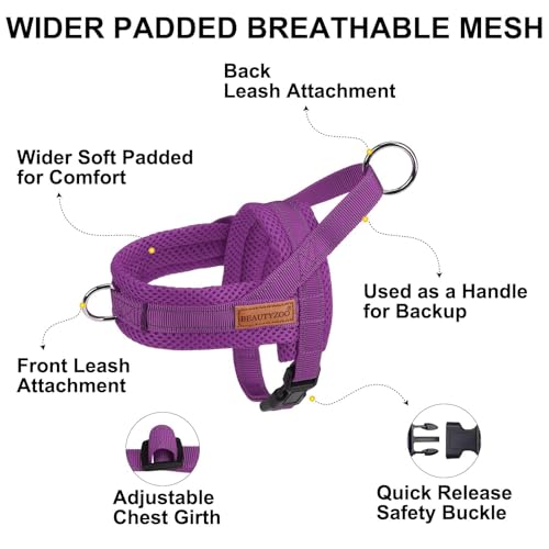 Small Dog Harness and Leash Set (Purple / XS: Chest 15"-18")