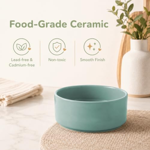 Ceramic Dog Bowls Elevated (Light Green)