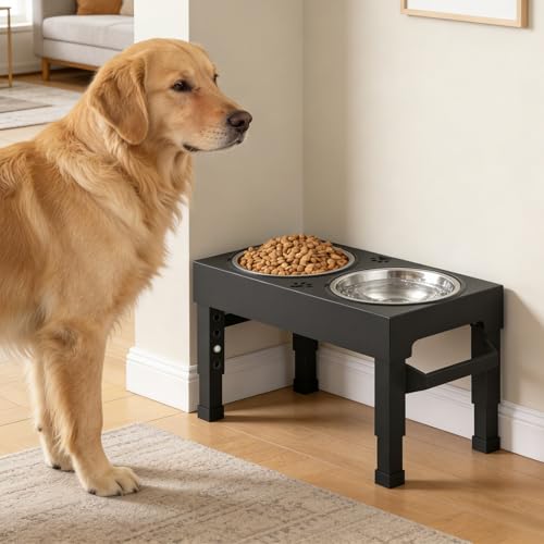 Elevated Dog Bowls Stand Large Breed (Black)