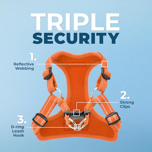 Voyager Adjustable Step (Harness Leash Set (Orange) / S)