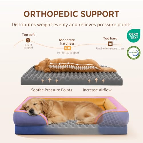Orthopedic Dog Beds for Large Sized Dog with Bolster (36.0"L x 27.0"W x 8.0"Th / Orange Breeze)