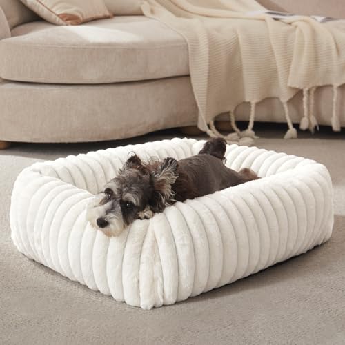 Dog Bed for Small Dogs (Cream / S (20"x19"x6"))