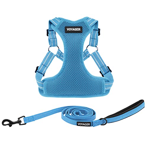 Voyager Adjustable Step (Harness Leash Set (Baby Blue) / M)