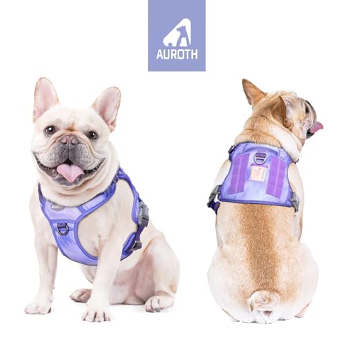 Dog Harness for Small Medium Dogs (Very Peri / S(Neck:14-21",Chest:20-31"),18-35 lbs)
