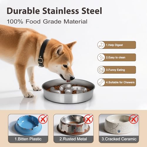 Slow Feeder Dog Bowl
