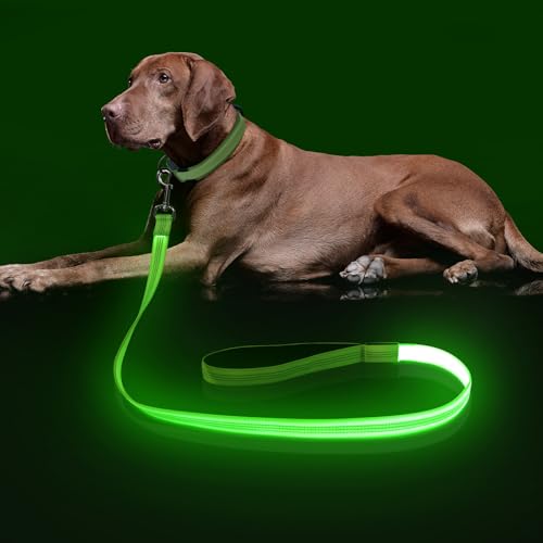 LED Light Up Dog Leash (Green (New) / 4FT)