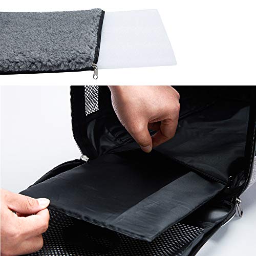 19"x12"x12" Pet Carrier for Cats (XH / 19.0"L x 12.0"W x 12.0"H)