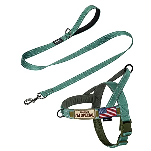 No Pull Dog Harness with Padded Handle+5 Ft Leash (L / Reflective-Green Set)