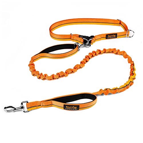 Hands Free Dog Leash (48" / Orange)