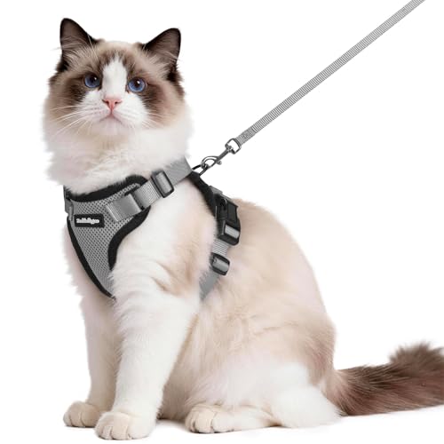 Cat Harness and Leash Set (M / Grey)