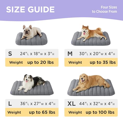 Cute Orthopedic Dog Bed Large Sized Dog (36"L x 27"W x 4"Th / Grey)