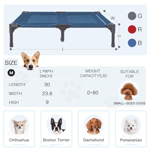 Elevated Dog Bed Waterproof Outdoor (M (30"Lx 23"Wx6.3"H) / Blue)
