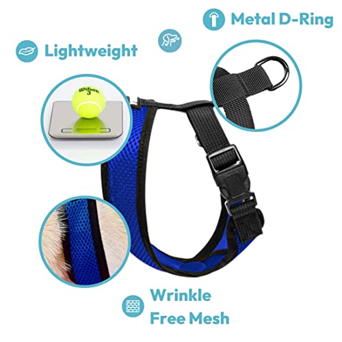 Comfort X Head (Small Chest (11.75-15.5") / Blue)