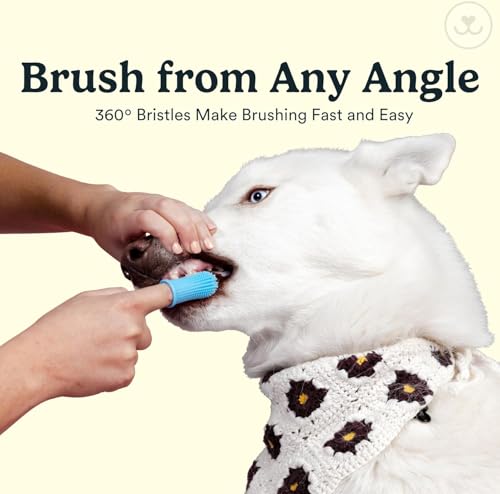 Dog Toothbrush (Multicolor (4-pack))