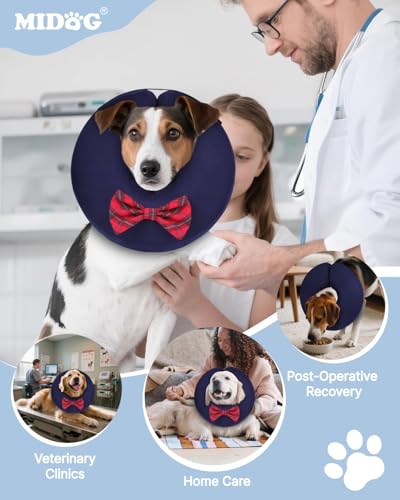 Inflatable Dog Cone (Bow Tie / M(12"-15"))