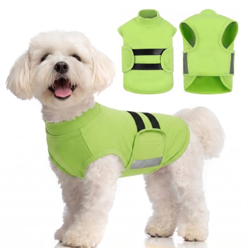 Dog Anxiety Relief Coat (LightGreen / X-Small)