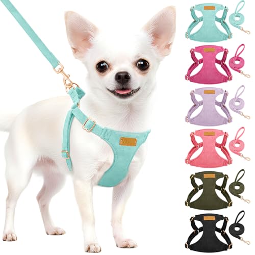 No Pull Dog Harness with Leash for Small Medium Dogs (Small(11-17.5lb) / Solid Teal)