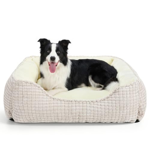 Large Dog Bed for Large Medium Small Dogs (Ivory Beige / L(30’’x 24’’x 9’’))