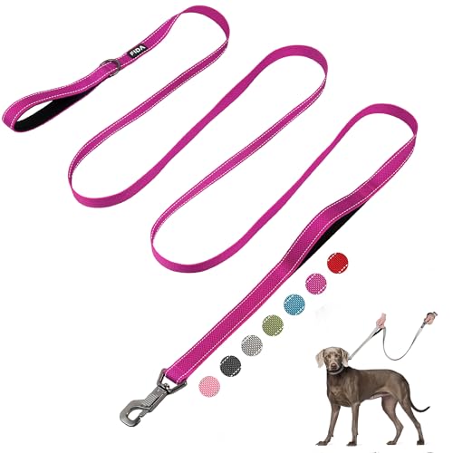 10 FT Heavy Duty Dog Leash (10 Feet (Pack of 1) / Rose)