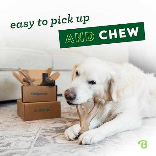 Large 4 Pack Dog Toys for Aggressive Chewers (Large / 4 Pack)