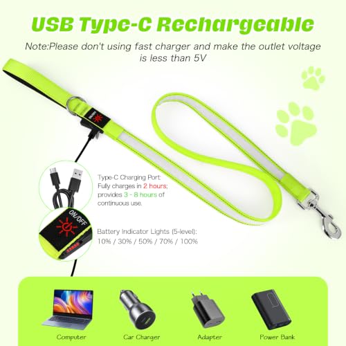 Light Up Dog Leash (Green / 4FT)