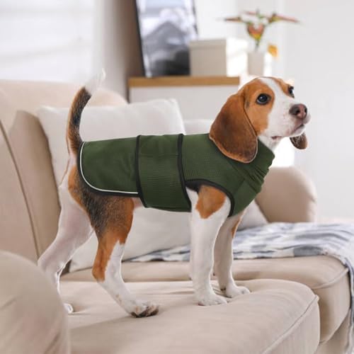 Dog Anxiety Vest with Hoodie (X-Large / Army Green)