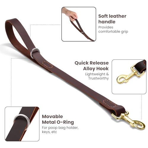 Leather Dog Leash (1.0 ft L x 1.0 in W)