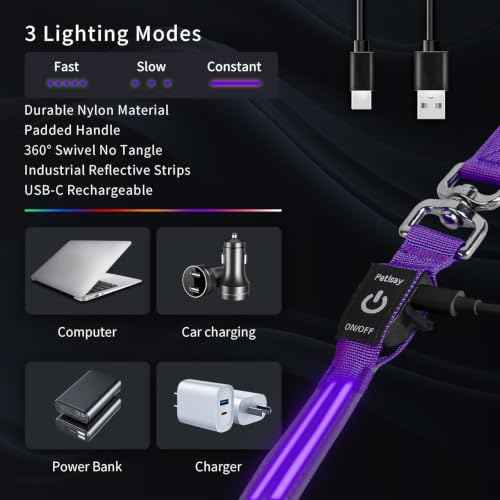 LED Dog Leash (Purple / 6 feet)